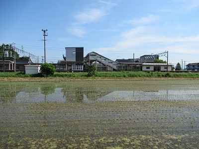 水田とホーム