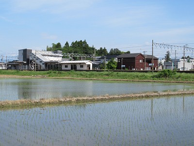 水田とホーム