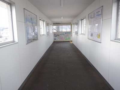 �����w�摜