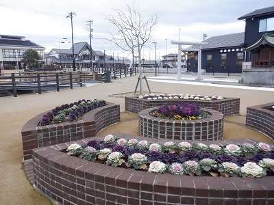 �����w�摜