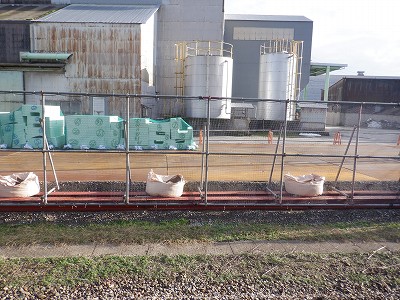 �����w�摜