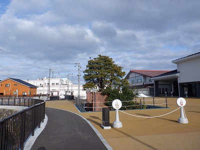 �����w�摜