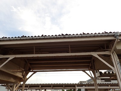 w摜
