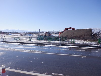 �V�x�R���w�摜