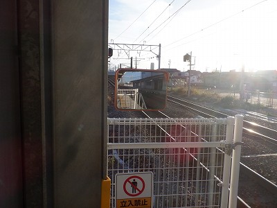 �V�x�R���w�摜