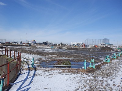 �V�x�R���w�摜