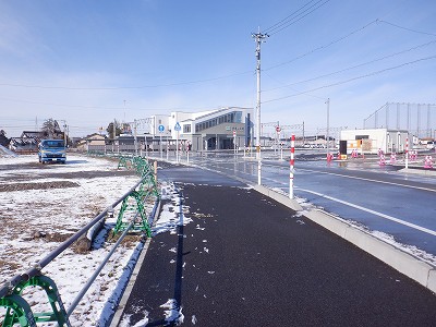 �V�x�R���w�摜