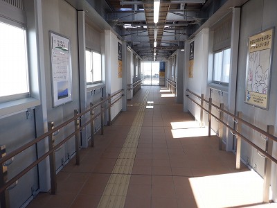 �V�x�R���w�摜