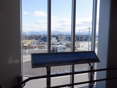 �V�x�R���w�摜