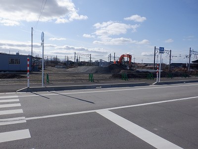 �V�x�R���w�摜