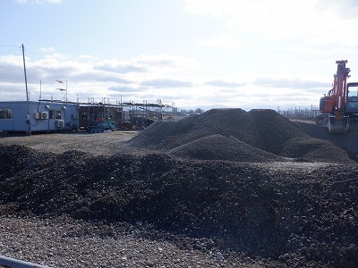 �V�x�R���w�摜