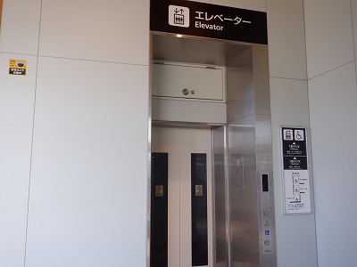 �V�x�R���w�摜