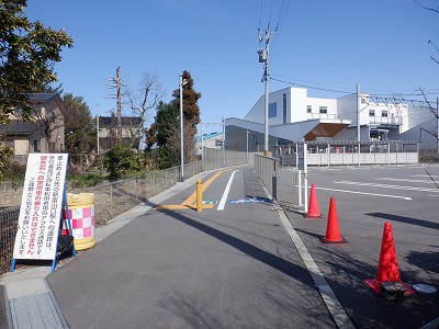 �V�x�R���w�摜