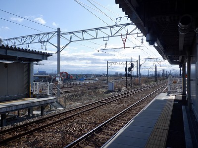 �V�x�R���w�摜