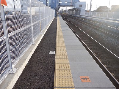 �V�x�R���w�摜