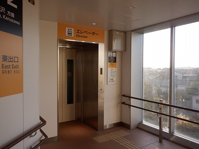 �V�x�R���w�摜