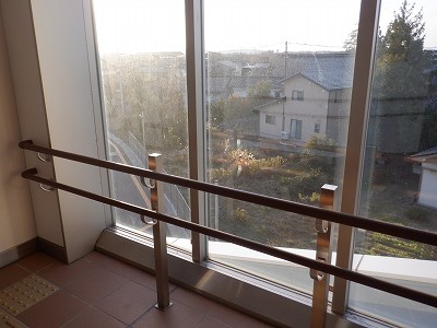 �V�x�R���w�摜