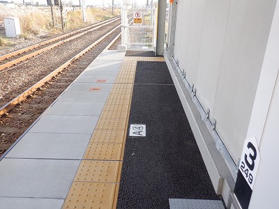 �V�x�R���w�摜