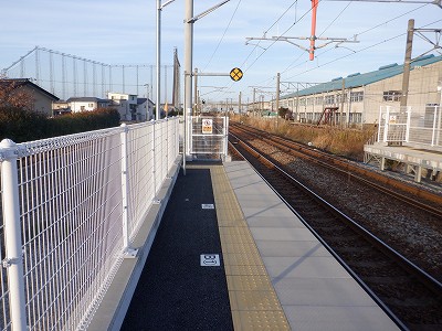 �V�x�R���w�摜