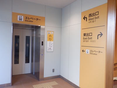 �V�x�R���w�摜