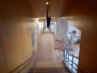 �V�x�R���w�摜