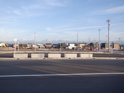 �V�x�R���w�摜