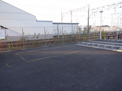 �V�x�R���w�摜