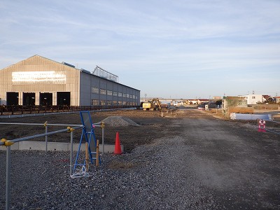 �V�x�R���w�摜