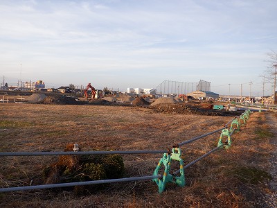 �V�x�R���w�摜