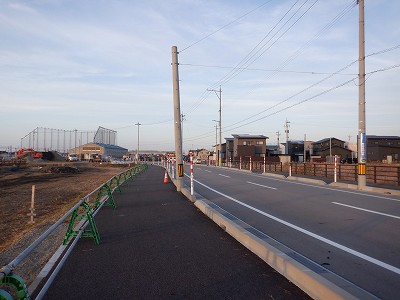 �V�x�R���w�摜