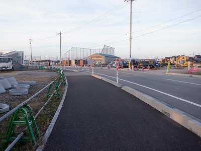 �V�x�R���w�摜