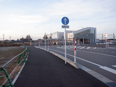 �V�x�R���w�摜