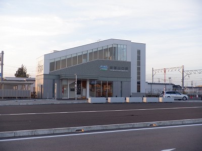 �V�x�R���w�摜