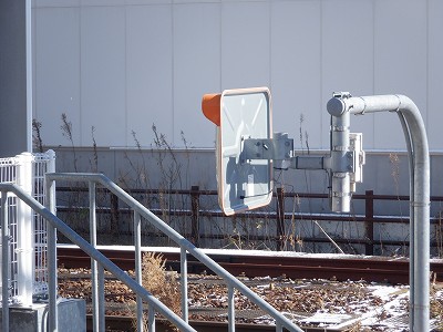 �V�x�R���w�摜