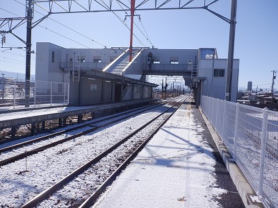 �V�x�R���w�摜