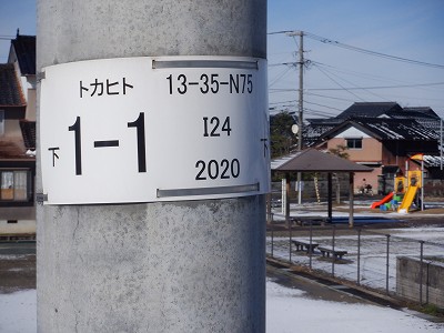 �V�x�R���w�摜