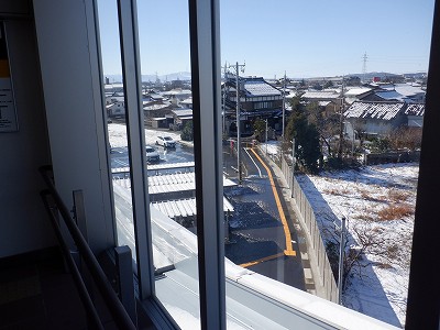 �V�x�R���w�摜