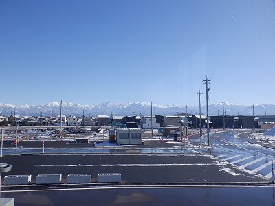 �V�x�R���w�摜