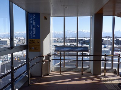 �V�x�R���w�摜