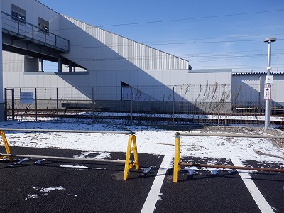 �V�x�R���w�摜