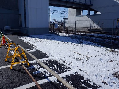 �V�x�R���w�摜