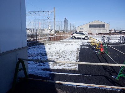 �V�x�R���w�摜