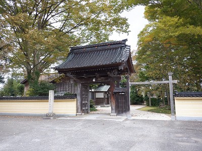 w摜