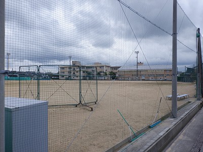w摜