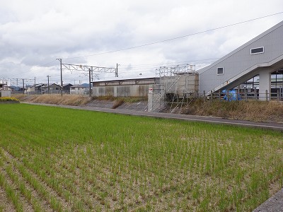 w摜