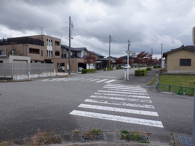 w摜