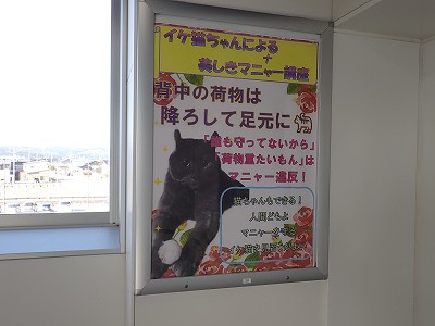 ������ԂȂ݉w�摜