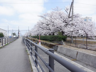 �z�����w�摜