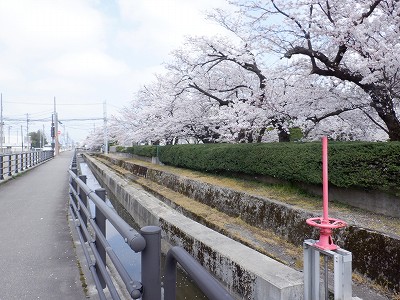 �z�����w�摜