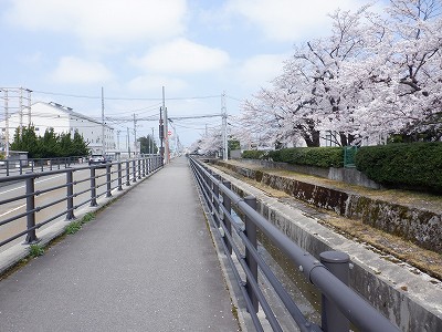 �z�����w�摜